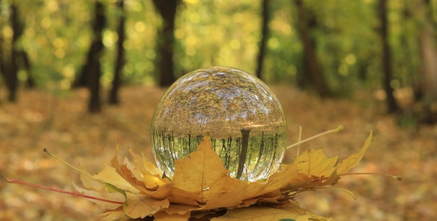 globo di vetro sul paesaggio autunnale