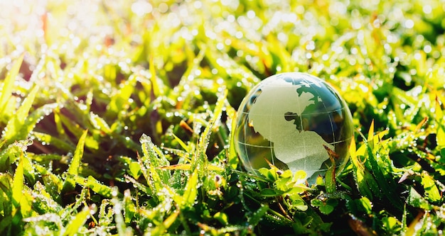 Globo di vetro sull'erba con il sole. concetto di ambiente