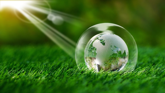Globo terrestre di vetro cristallo all'interno della bolla sull'erba verde sullo sfondo del giardino con il soleSicuro mondo salvare il pianeta concetto ecologico e Giornata mondiale dell'ambiente Riforestazione