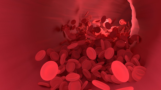 Globulo rosso nei vasi sanguigni del corpo.