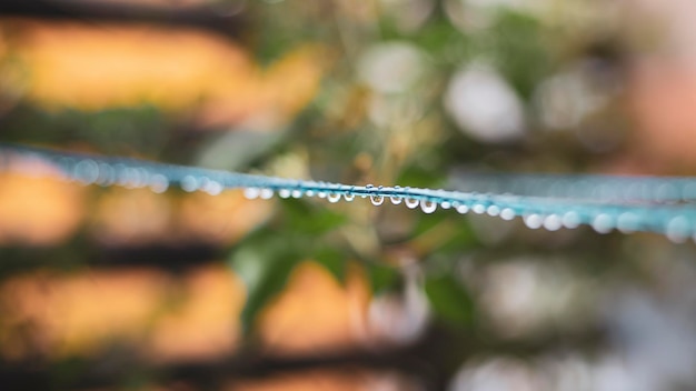 Gocce d'acqua appese a un filo