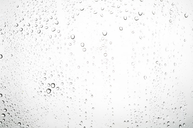 Gocce d&#39;acqua su bianco