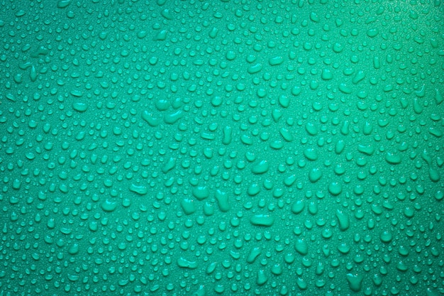 Gocce D'acqua Su Sfondo Verde