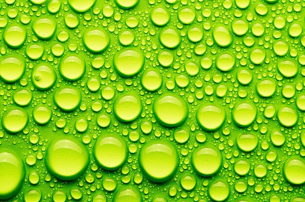 Gocce d'acqua su sfondo verde