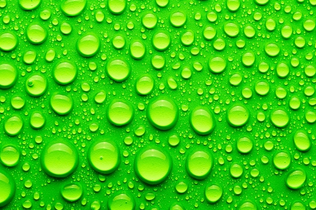 Gocce d'acqua su sfondo verde