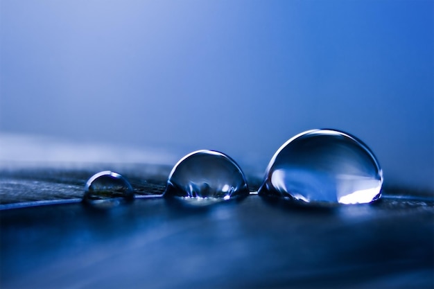 Gocce d'acqua su una piuma in blu in macro