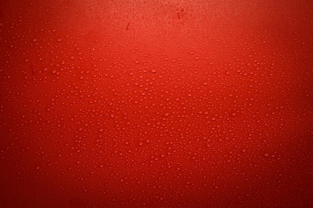 Gocce d'acqua sulla superficie rossa e nera. Macro foto, goccia, ombra base in plastica.