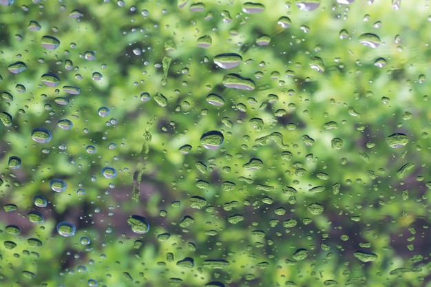 Gocce di pioggia su un vetro della finestra con sfondo verde