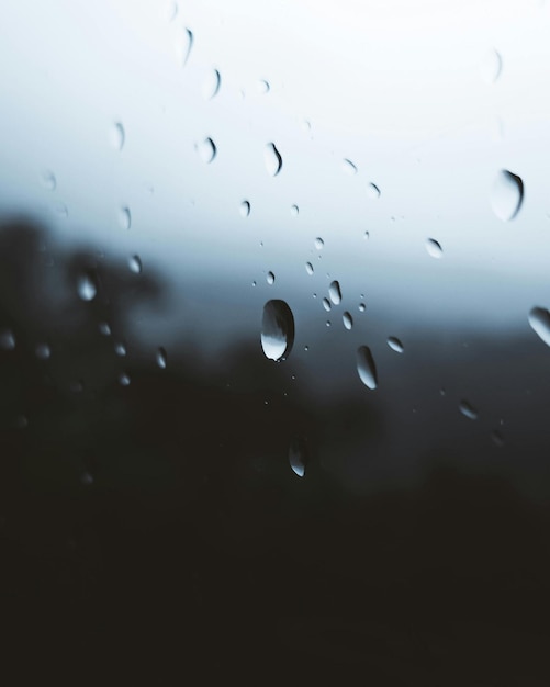gocce di pioggia su una finestra con alberi sullo sfondo