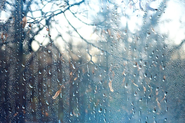 gocce di pioggia su vetro, vista attraverso la finestra paesaggio foresta autunnale, parco