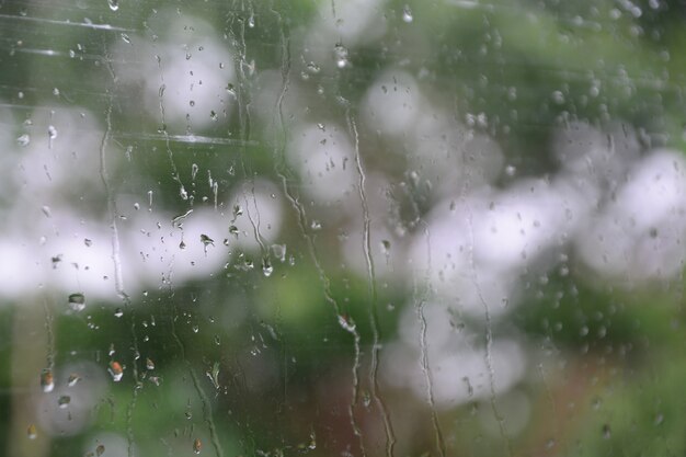 gocce di pioggia sull&#39;erba con sfondo verde sfocato