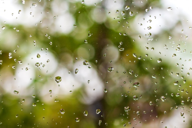 Gocce di pioggia sulla finestra e sullo sfondo verde della natura.