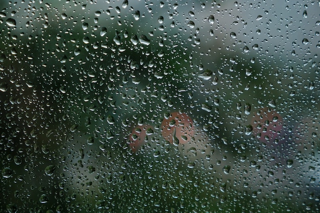 Gocce di pioggia sulla superficie dei vetri della finestra con l'albero verde.