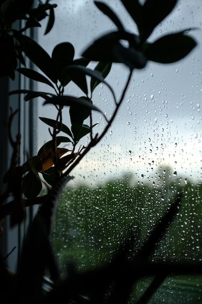 Gocce di pioggia trasparenti sul vetro della finestra in una giornata nuvolosa