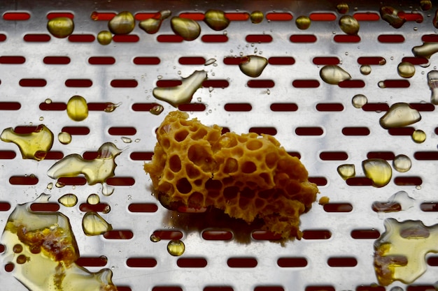 goccia di miele d'ape da favi esagonali riempite di nettare dorato composizione estiva di favi d'ape costituita da goccia di miele naturale goccia su telaio di cera d'ape goccia di miele d'ape in favi d'ape