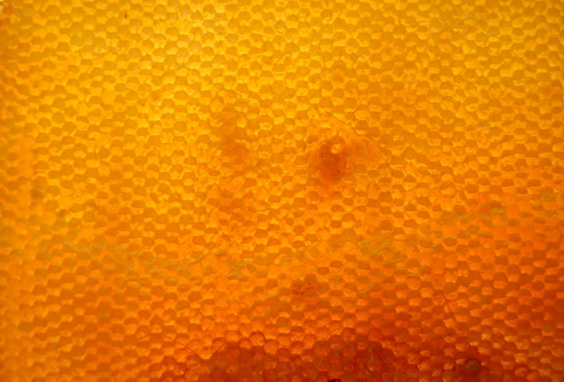 Goccia di miele d'api gocciola da favi esagonali