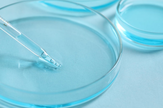gocciolamento di liquido dalla pipetta nella ciotola di Petri a tavolo blu chiaro closeup analisi di laboratorio