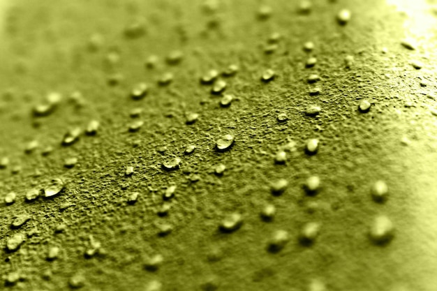 goccioline d'acqua su una superficie verde con gocce d'acqua