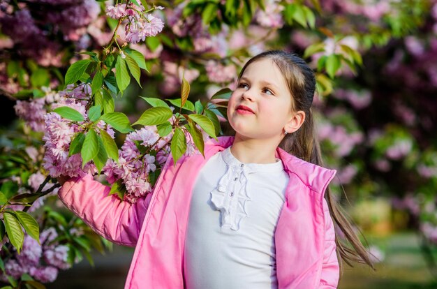 Godetevi l'odore della tenera fioritura giornata di sole Sakura concetto di fiore Splendido fiore bellezza Ragazza fiore di ciliegio sfondo Felice vacanze primaverili Parco e giardino Ragazza bambino in fiore di primavera sbocciano