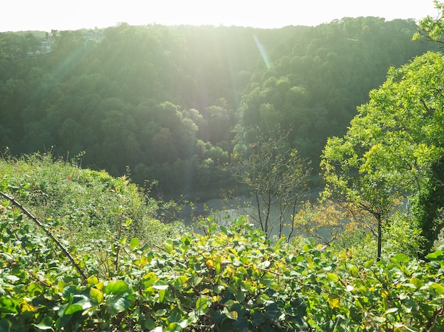 Gola del fiume Avon a Bristol