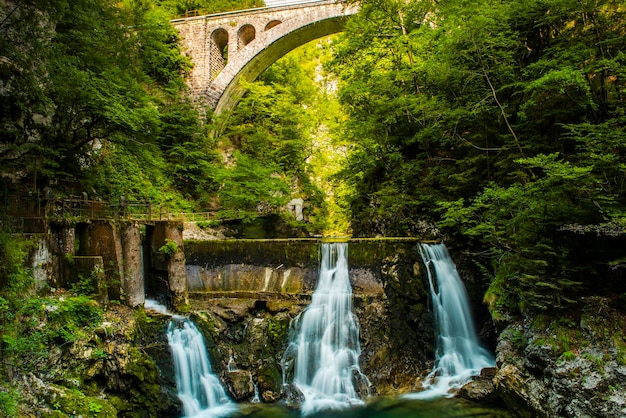 Gola di Vintgar in Slovenia Ponte ferroviario ad arco di pietra sulla cascata