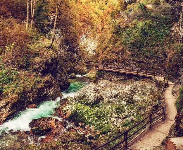 Gola di Vintgar Slovenia