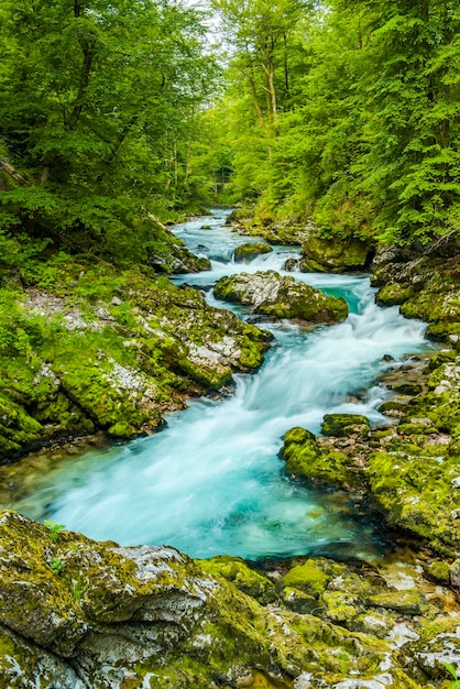 Gola di Vintgar vicino al lago di Sanguinamento in Slovenia