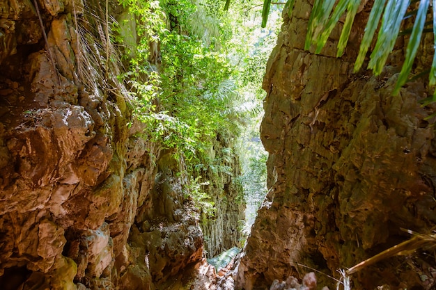 Gola nelle montagne tropicali Accesso nella giungla alla laguna in cima alle scogliere della penisola di Raleigh