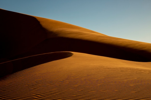 Golden Desert Dune - Vento modellato alla perfezione