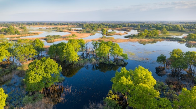Golena del fiume Prypiac durante lo straripamento primaverile