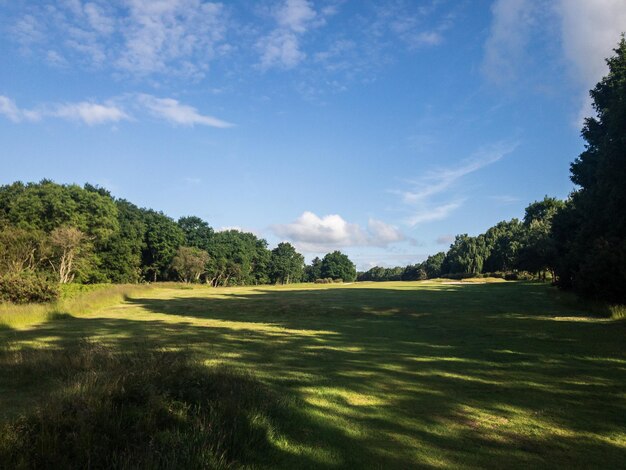 Golf al mattino presto