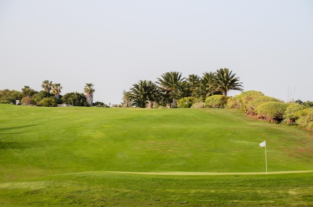 Golf Campo di erba verde in un clima tropicale