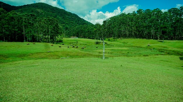 Golf Ground alla stazione di Hill