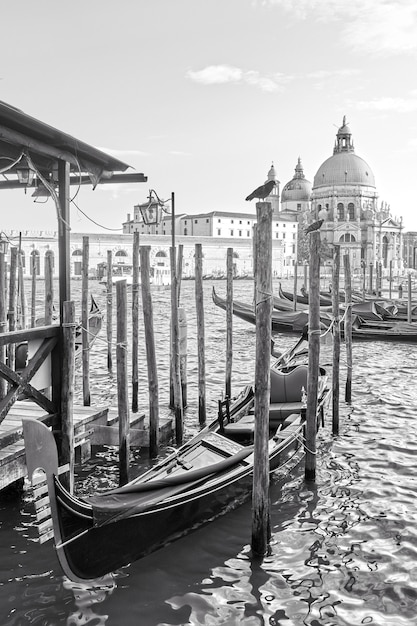 Gondole attraccate e chiesa di Santa Maria della Salute a Venezia, Italia. Bianco e nero