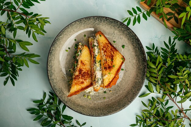 Gourmet appetitosi panini per la colazione