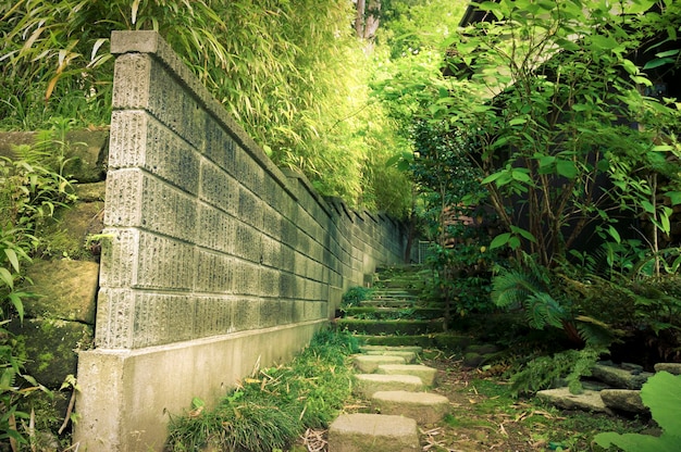 Gradini di pietra nel giardino giapponese che portano alle montagne