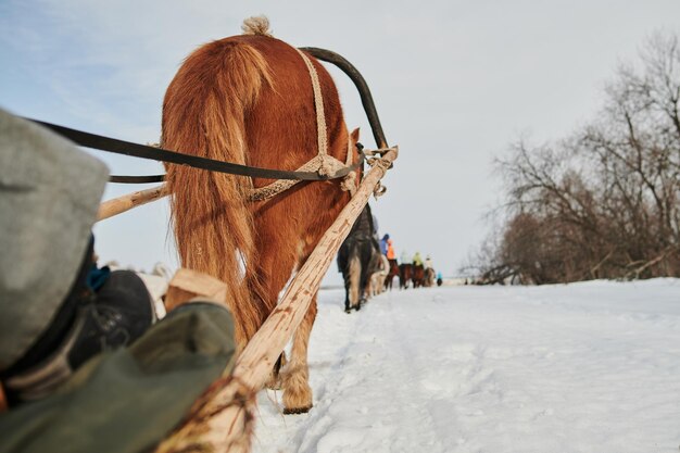 grafico a cavallo con il paesaggio panoramico invernale dei popoli