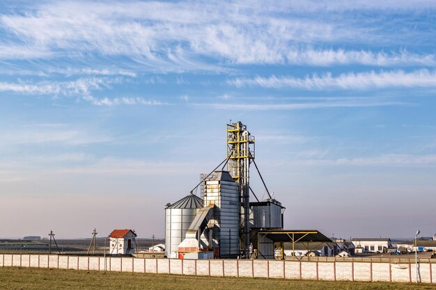 Granaio elevatore impianto agrolavorazione e produzione per lavorazione e silos argento per essiccazione pulitura e stoccaggio prodotti agricoli farina cereali e granaglie