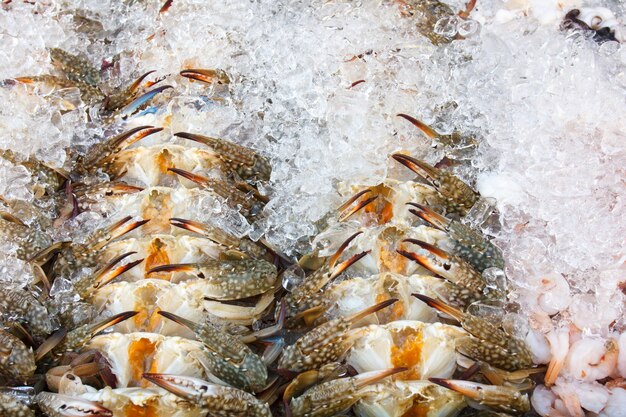 Granchi su un vassoio di ghiaccio nel mercato del pesce