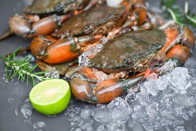 Granchio crudo su sfondo bianco scuro Granchio di fango fresco con ghiaccio per cucinare il cibo nel ristorante di pesce