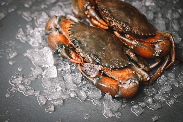 Granchio crudo su sfondo nero Granchio di fango fresco con ghiaccio per cucinare il cibo nel ristorante di pesce