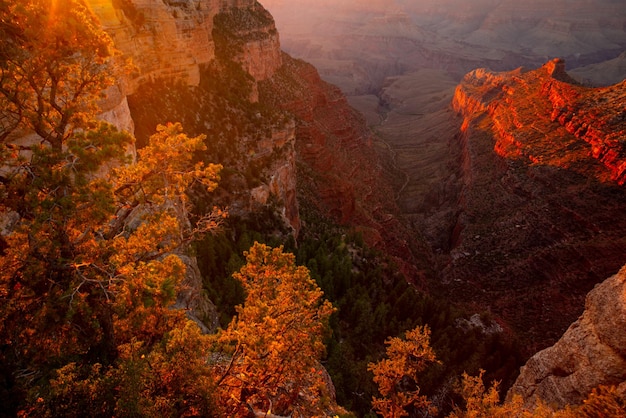 Grand Canyon North Rim al tramonto dorato Arizona paesaggio del Grand Canyon vista panoramica nazionale