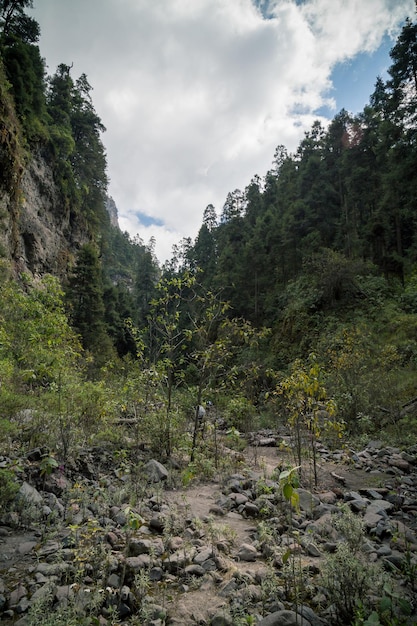 Grand canyon vulcano nexpayantla popocatepetl