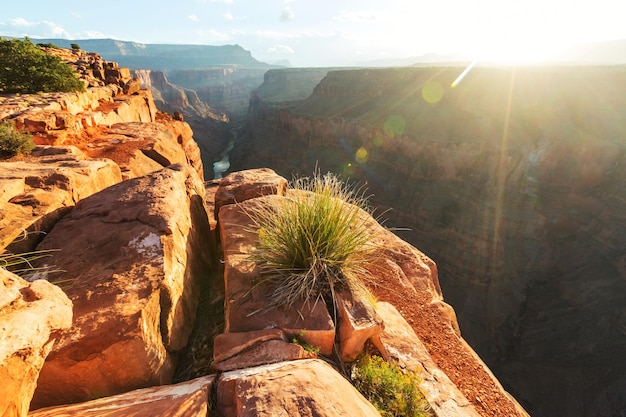 Grand Canyon