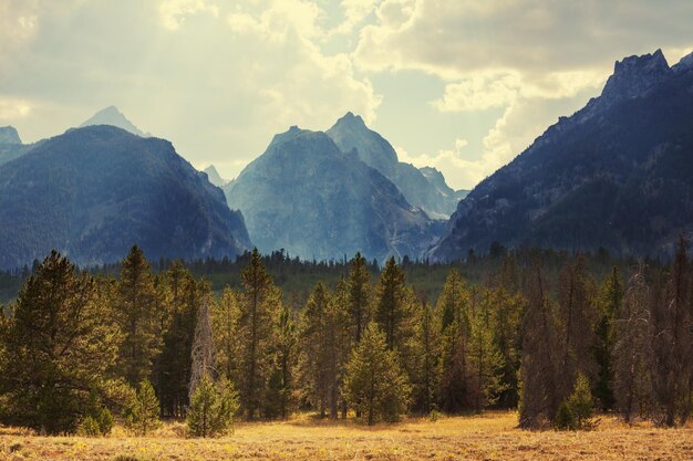 Grand Teton