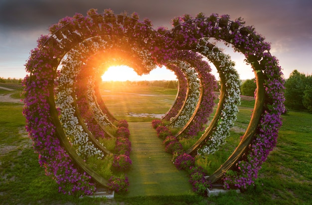 Grande aiuola a più livelli con petunie a forma di cuore al tramonto nel parco.