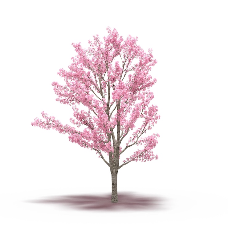 Foto grande albero con un'ombra sotto di esso, isolato su sfondo bianco, illustrazione 3d, rendering cg