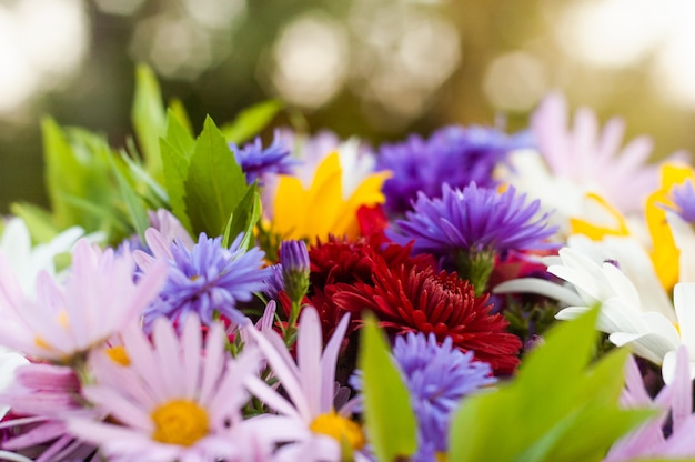 Grande bouquet di bellissimi fiori estivi multicolori