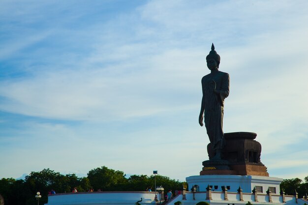 Grande Buddha nel parco.