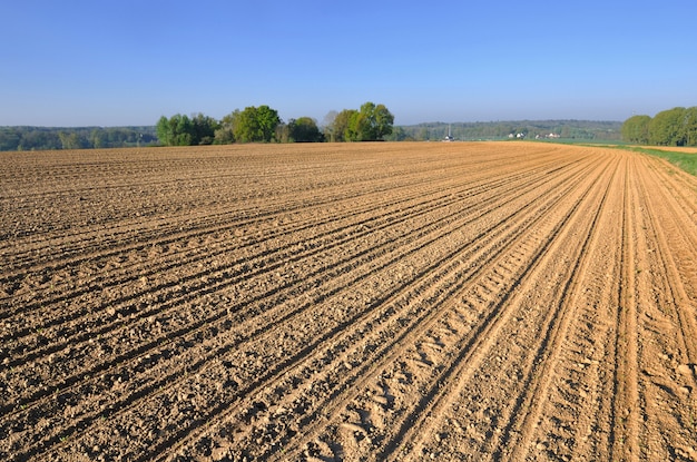 Grande campo di coltivazione